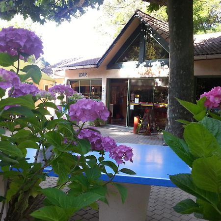 Camping Les Sources Saint-Jean-du-Gard Dış mekan fotoğraf