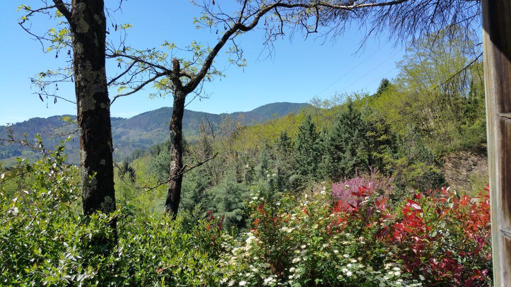 Camping Les Sources Saint-Jean-du-Gard Dış mekan fotoğraf