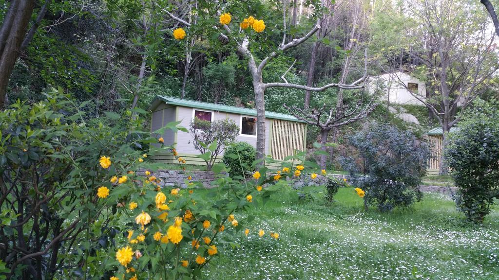 Camping Les Sources Saint-Jean-du-Gard Dış mekan fotoğraf