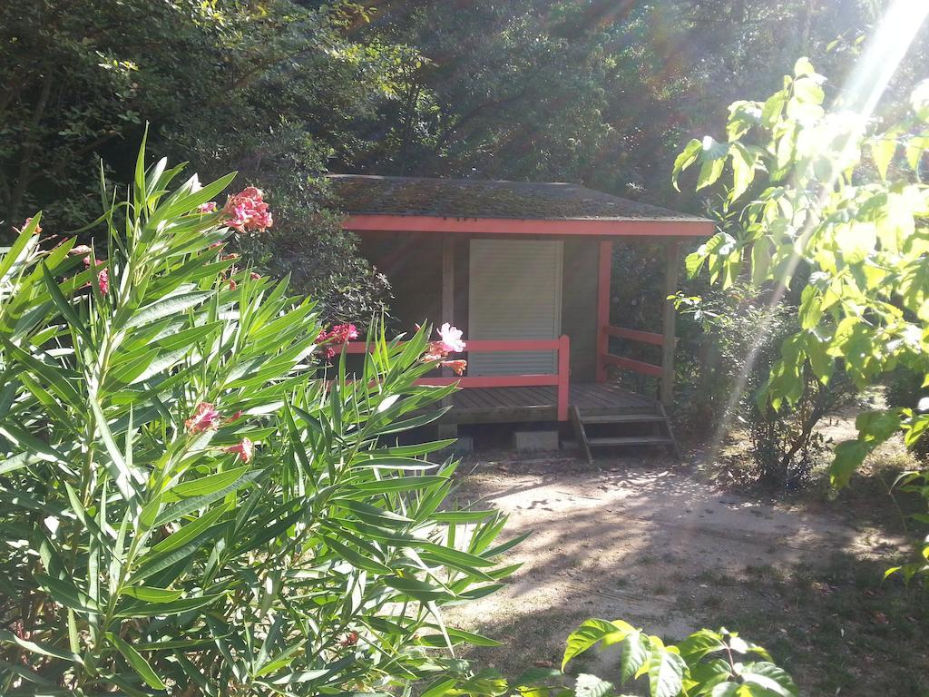 Camping Les Sources Saint-Jean-du-Gard Oda fotoğraf